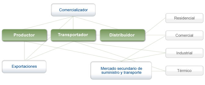 Estructura del sector